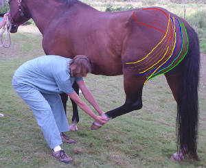 hipextensor_edited.jpg