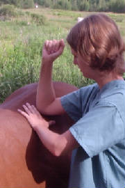 p8030003_edited.jpg